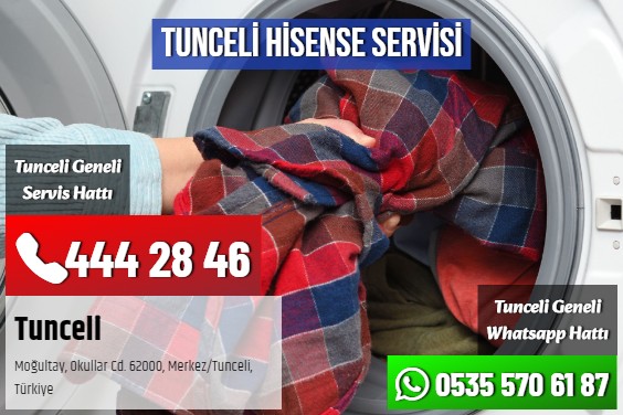 Tunceli Hisense Servisi