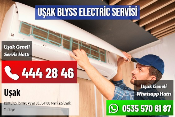 Uşak Blyss Electric Servisi