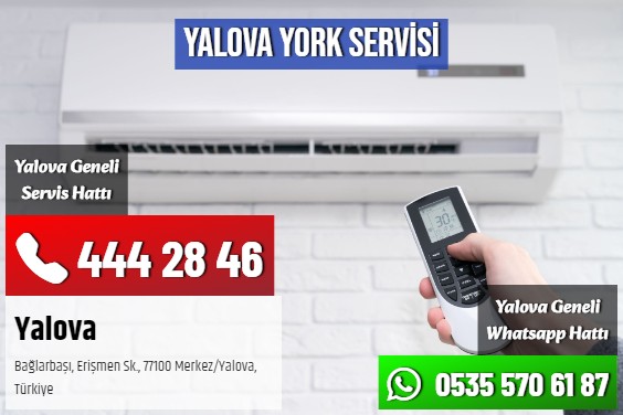 Yalova York Servisi