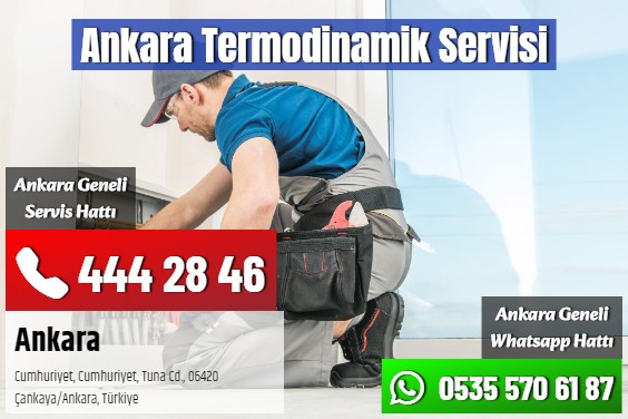 Ankara Termodinamik Servisi