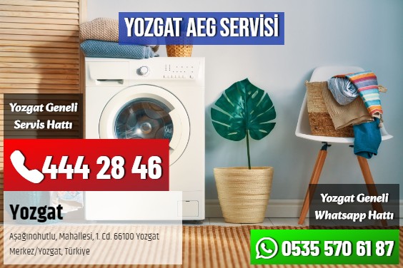 Yozgat AEG Servisi
