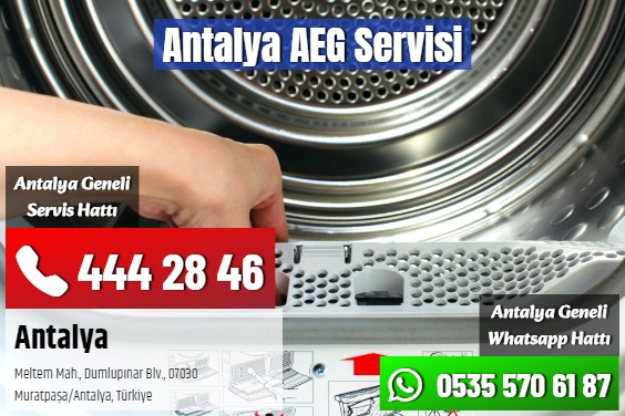 Antalya AEG Servisi