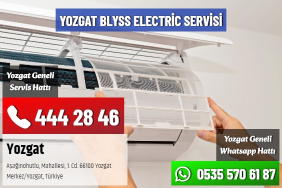 Yozgat Blyss Electric Servisi