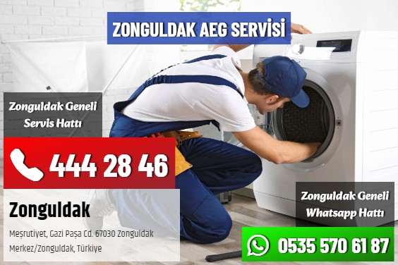Zonguldak AEG Servisi