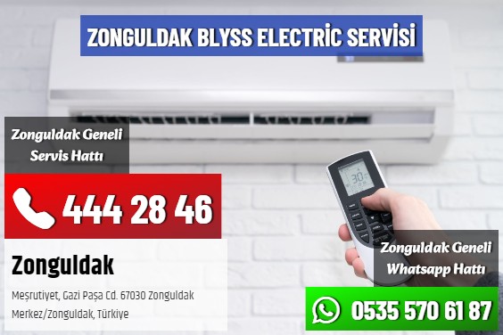 Zonguldak Blyss Electric Servisi