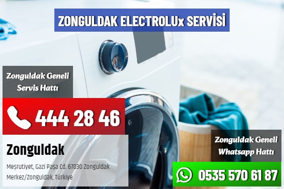 Zonguldak Electrolux Servisi