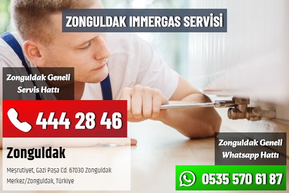 Zonguldak Immergas Servisi