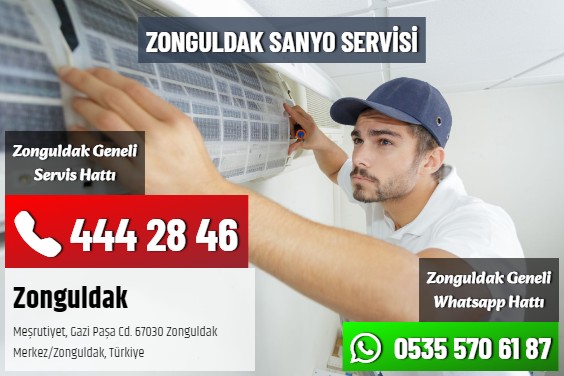 Zonguldak Sanyo Servisi