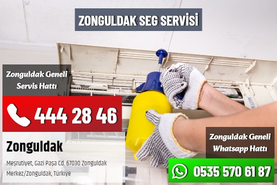 Zonguldak SEG Servisi