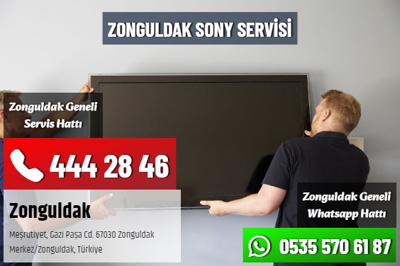Zonguldak SONY Servisi