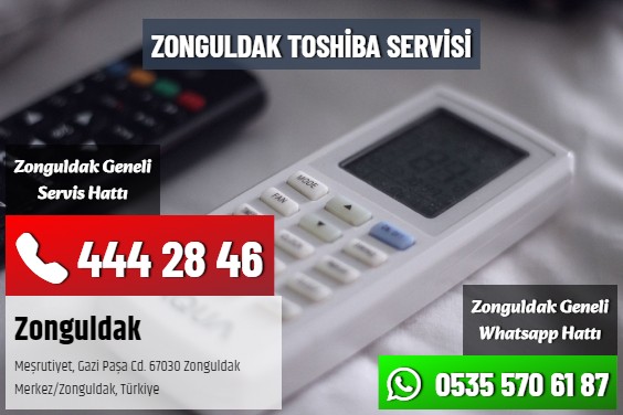 Zonguldak Toshiba Servisi