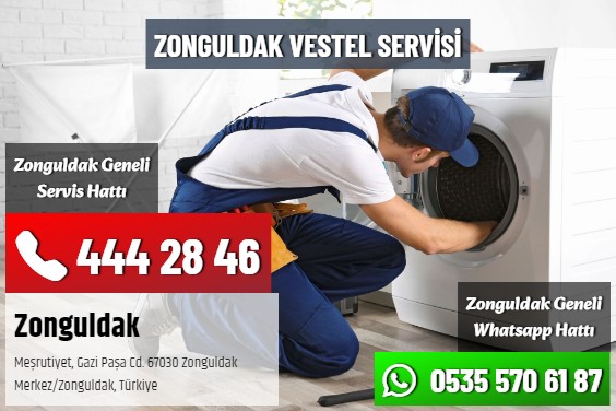 Zonguldak Vestel Servisi