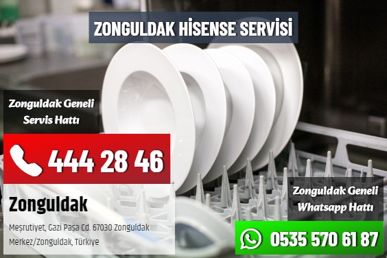 Zonguldak Hisense Servisi