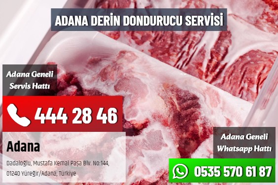 Adana Derin Dondurucu Servisi