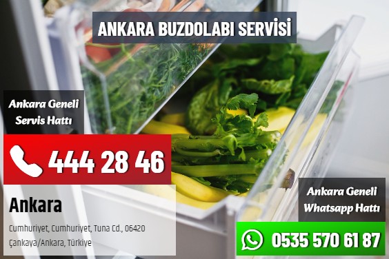 Ankara Buzdolabı Servisi