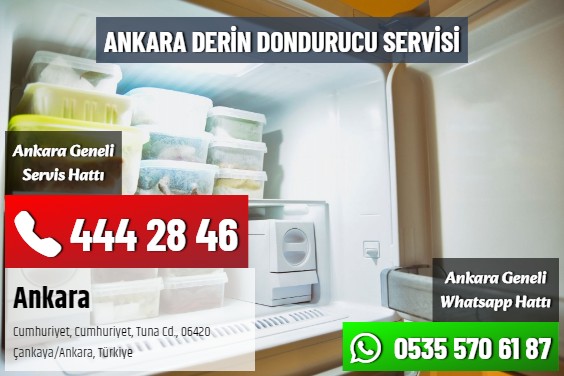 Ankara Derin Dondurucu Servisi