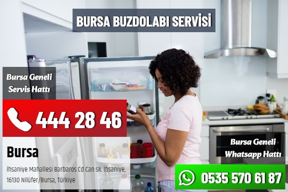 Bursa Buzdolabı Servisi