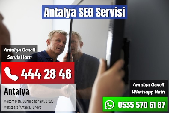Antalya SEG Servisi