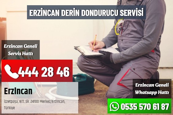 Erzincan Derin Dondurucu Servisi
