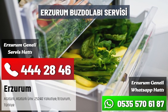 Erzurum Buzdolabı Servisi