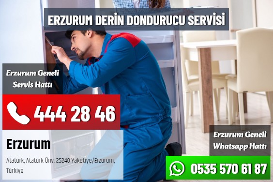 Erzurum Derin Dondurucu Servisi