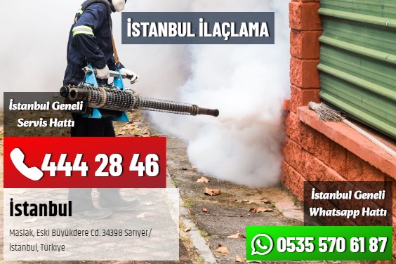 İstanbul İlaçlama