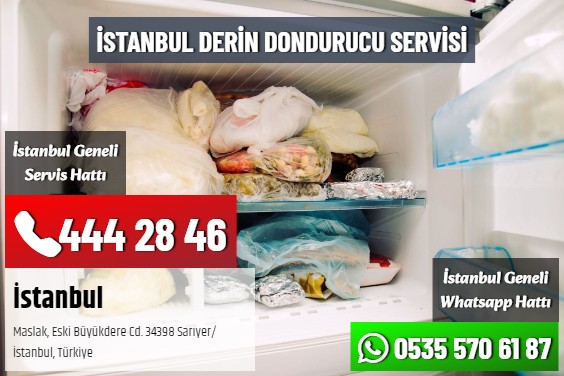İstanbul Derin Dondurucu Servisi