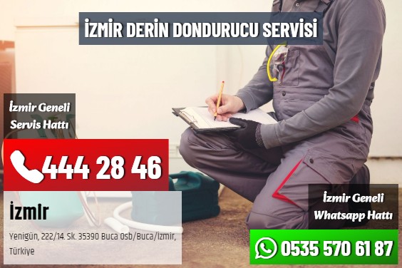 İzmir Derin Dondurucu Servisi