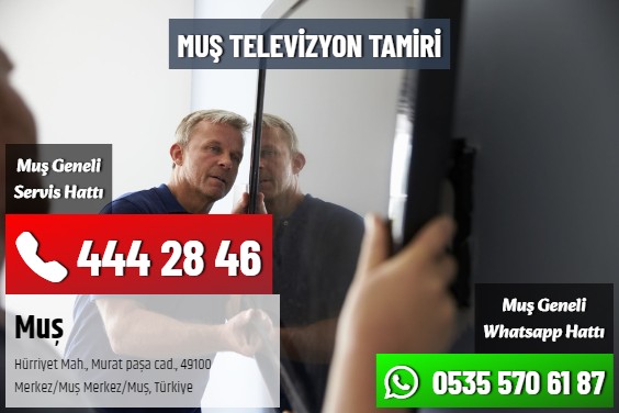 Muş Televizyon Tamiri