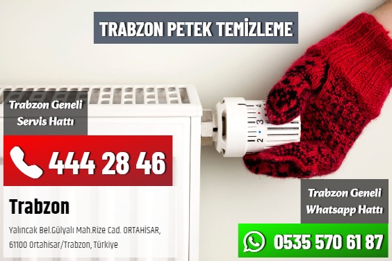 Trabzon Petek Temizleme