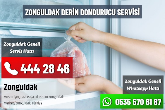 Zonguldak Derin Dondurucu Servisi
