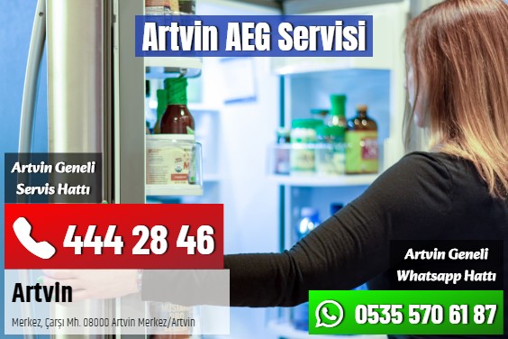 Artvin AEG Servisi