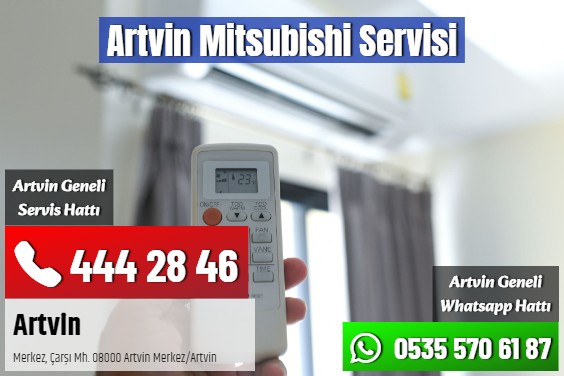 Artvin Mitsubishi Servisi