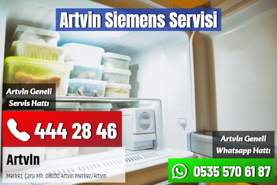 Artvin Siemens Servisi