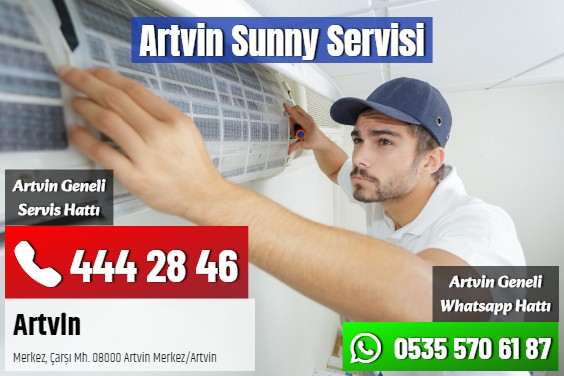 Artvin Sunny Servisi