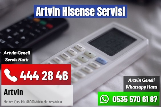 Artvin Hisense Servisi