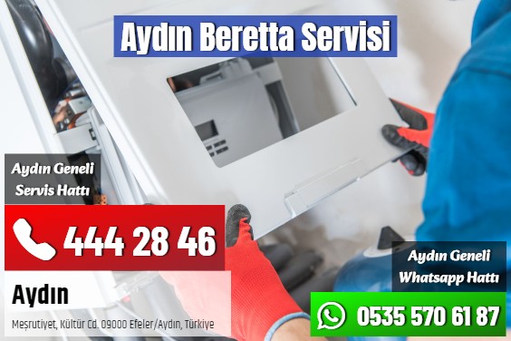 Aydın Beretta Servisi