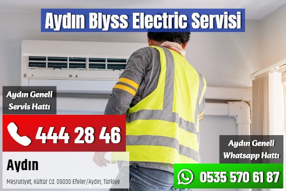 Aydın Blyss Electric Servisi
