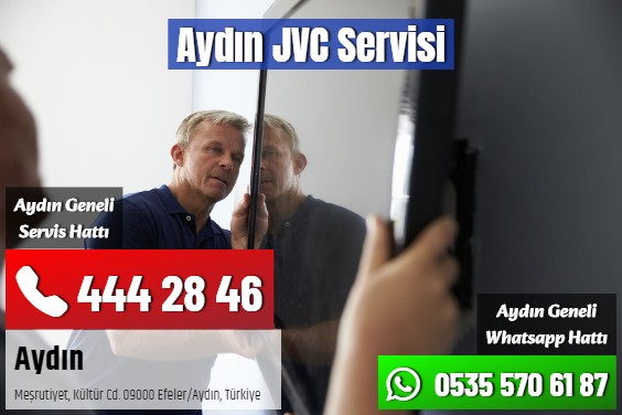 Aydın JVC Servisi