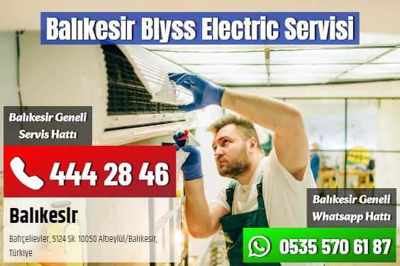 Balıkesir Blyss Electric Servisi