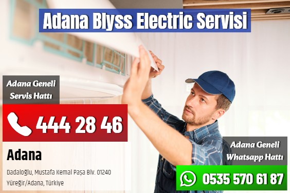 Adana Blyss Electric Servisi