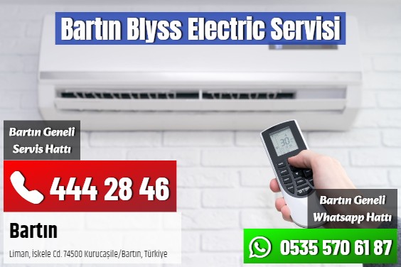 Bartın Blyss Electric Servisi