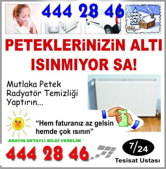 Mardin Radyatör/Petek Temizliği 